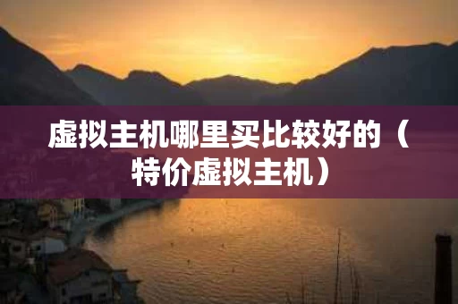 虚拟主机哪里买比较好的（特价虚拟主机）