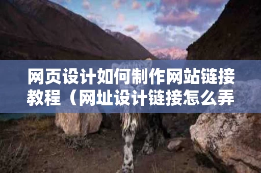 网页设计如何制作网站链接教程（网址设计链接怎么弄）