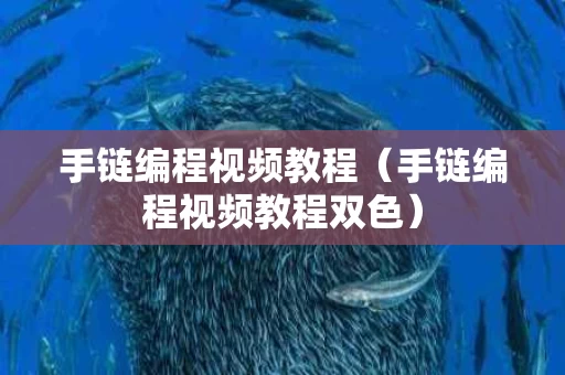 手链编程视频教程（手链编程视频教程双色）