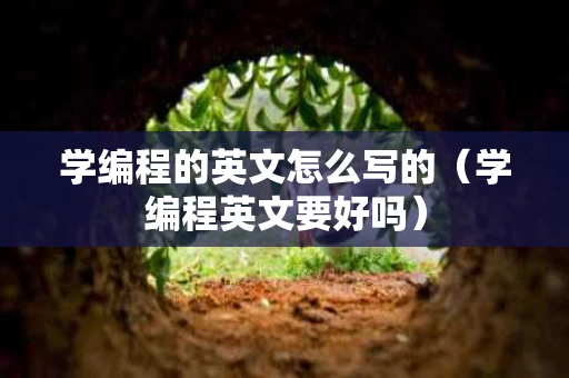 学编程的英文怎么写的（学编程英文要好吗）