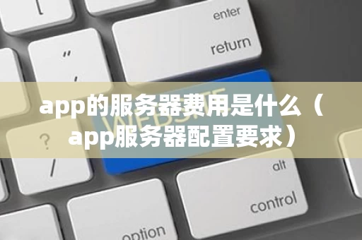 app的服务器费用是什么（app服务器配置要求）