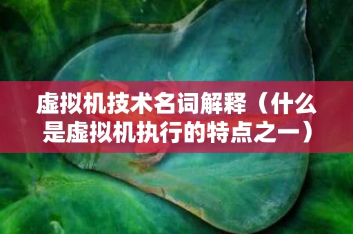 虚拟机技术名词解释（什么是虚拟机执行的特点之一）