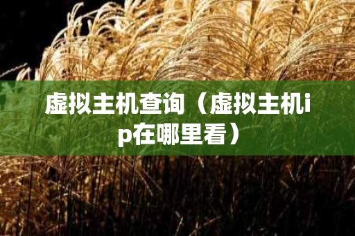 虚拟主机查询（虚拟主机ip在哪里看）