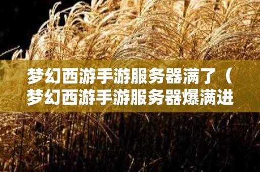 梦幻西游手游服务器满了（梦幻西游手游服务器爆满进不去怎么办）