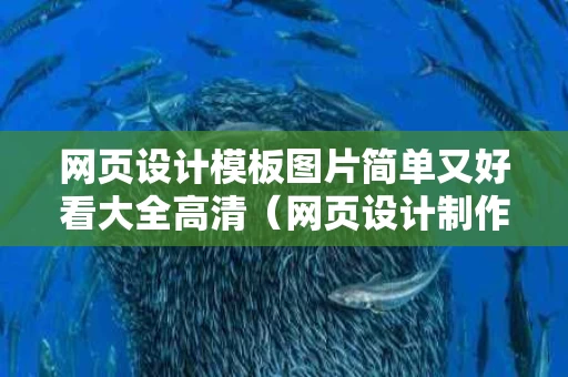 网页设计模板图片简单又好看大全高清（网页设计制作作品）