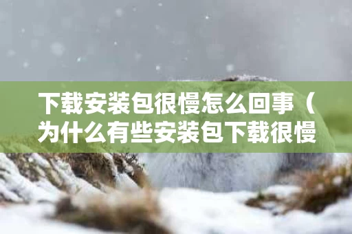 下载安装包很慢怎么回事（为什么有些安装包下载很慢）