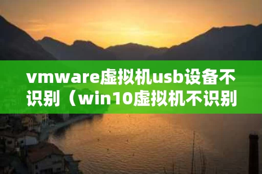 vmware虚拟机usb设备不识别（win10虚拟机不识别usb设备）