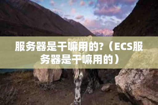 服务器是干嘛用的?（ECS服务器是干嘛用的）