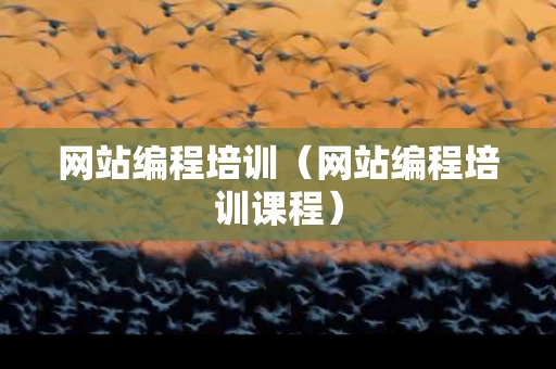 网站编程培训（网站编程培训课程）
