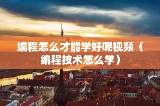编程怎么才能学好呢视频（编程技术怎么学）