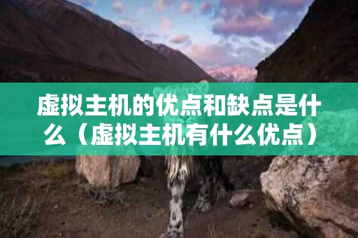 虚拟主机的优点和缺点是什么（虚拟主机有什么优点）