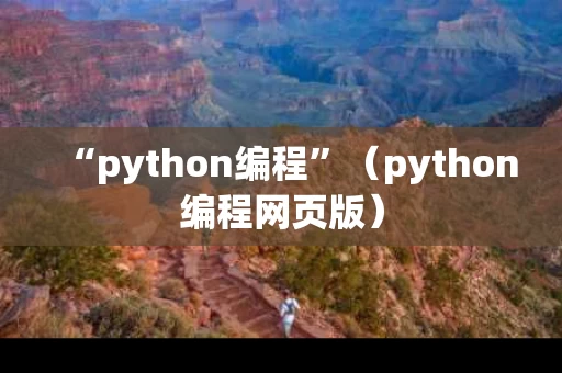 “python编程”（python编程网页版）