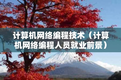 计算机网络编程技术（计算机网络编程人员就业前景）