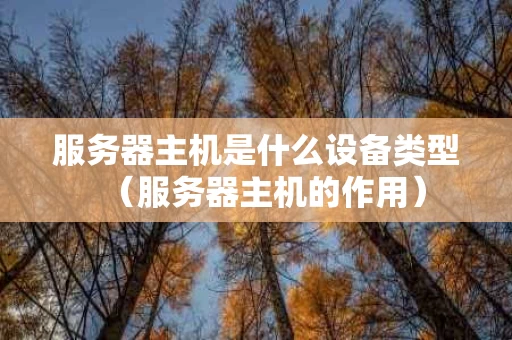 服务器主机是什么设备类型（服务器主机的作用）