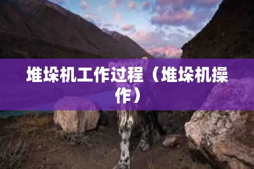 堆垛机工作过程（堆垛机操作）