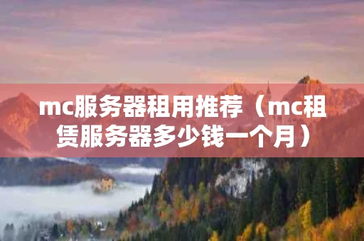 mc服务器租用推荐（mc租赁服务器多少钱一个月）