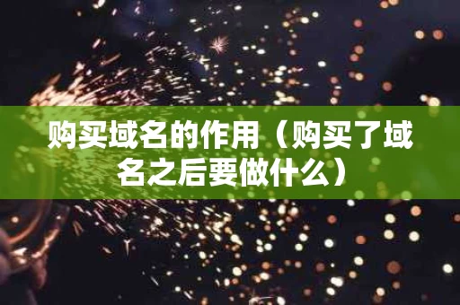 购买域名的作用（购买了域名之后要做什么）