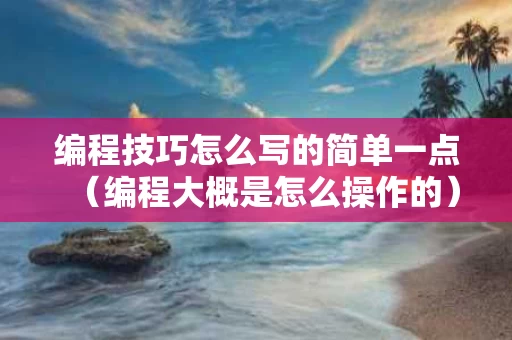 编程技巧怎么写的简单一点（编程大概是怎么操作的）