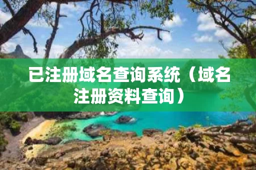 已注册域名查询系统（域名注册资料查询）