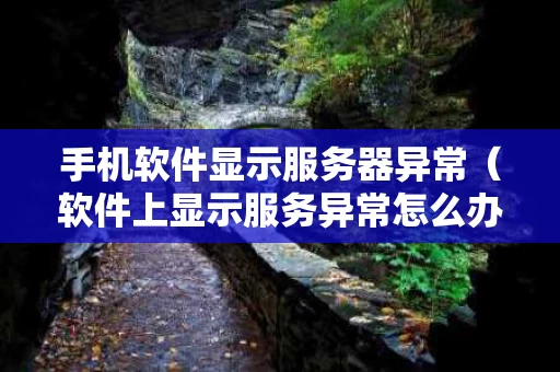 手机软件显示服务器异常（软件上显示服务异常怎么办）