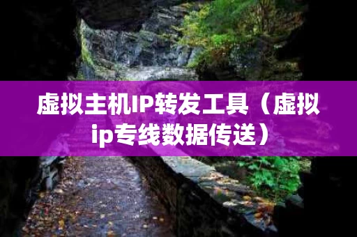 虚拟主机IP转发工具（虚拟ip专线数据传送）