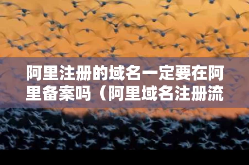 阿里注册的域名一定要在阿里备案吗（阿里域名注册流程）