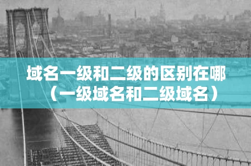 域名一级和二级的区别在哪（一级域名和二级域名）