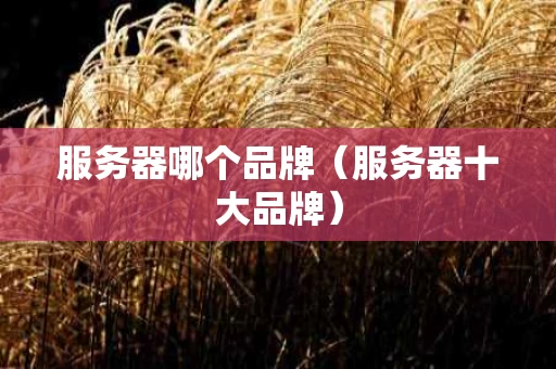 服务器哪个品牌（服务器十大品牌）