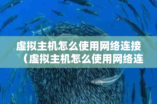 虚拟主机怎么使用网络连接（虚拟主机怎么使用网络连接打印机）