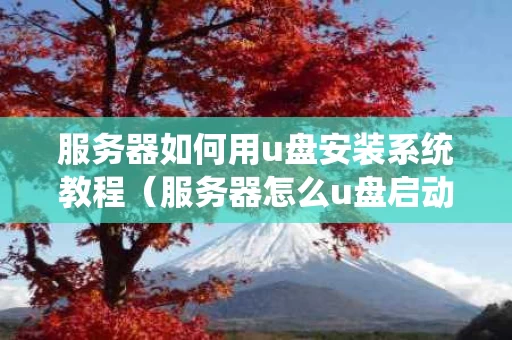服务器如何用u盘安装系统教程（服务器怎么u盘启动）