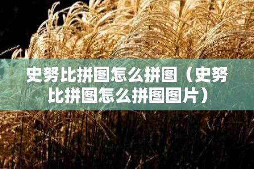 史努比拼图怎么拼图（史努比拼图怎么拼图图片）