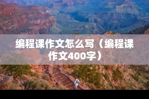 编程课作文怎么写（编程课作文400字）
