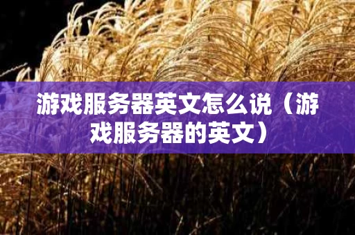 游戏服务器英文怎么说（游戏服务器的英文）