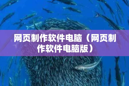 网页制作软件电脑（网页制作软件电脑版）