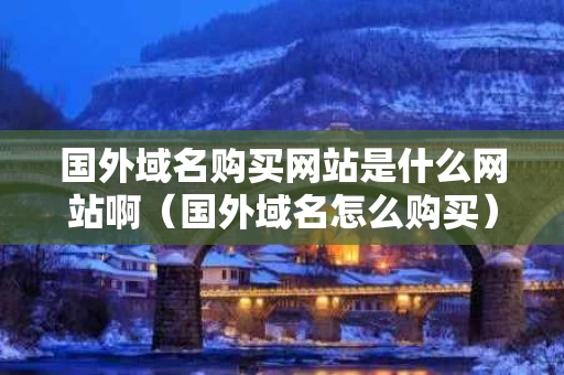 国外域名购买网站是什么网站啊（国外域名怎么购买）
