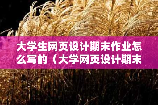 大学生网页设计期末作业怎么写的（大学网页设计期末作品）