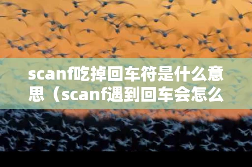 scanf吃掉回车符是什么意思（scanf遇到回车会怎么样）