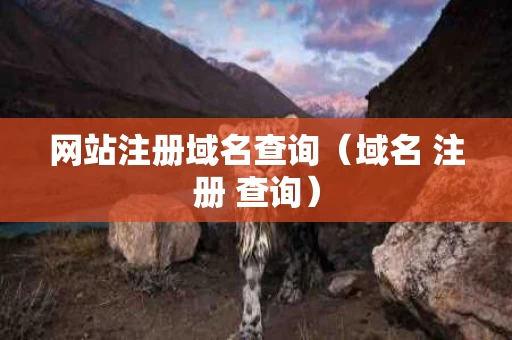 网站注册域名查询（域名 注册 查询）