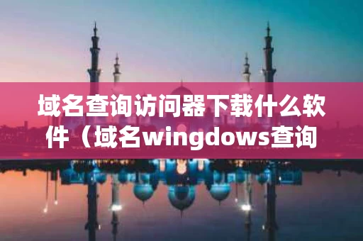 域名查询访问器下载什么软件（域名wingdows查询）