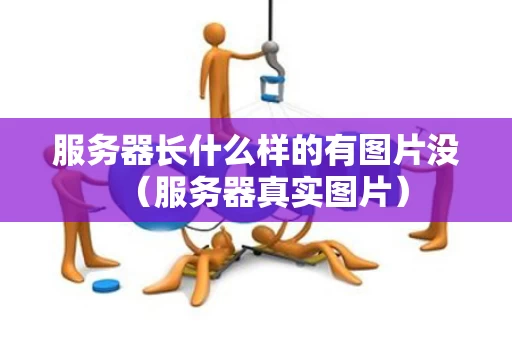 服务器长什么样的有图片没（服务器真实图片）