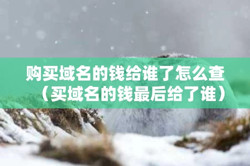 购买域名的钱给谁了怎么查（买域名的钱最后给了谁）
