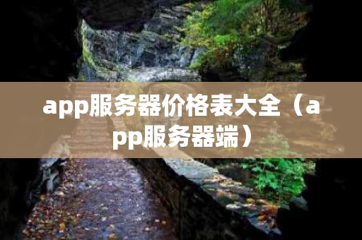 app服务器价格表大全（app服务器端）