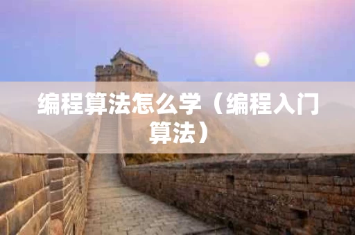 编程算法怎么学（编程入门算法）