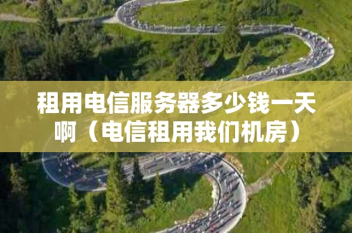 租用电信服务器多少钱一天啊（电信租用我们机房）