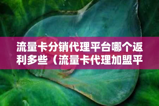 流量卡分销代理平台哪个返利多些（流量卡代理加盟平台）