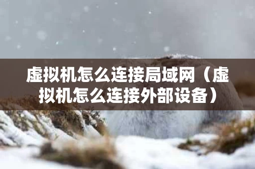 虚拟机怎么连接局域网（虚拟机怎么连接外部设备）