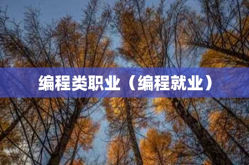 编程类职业（编程就业）