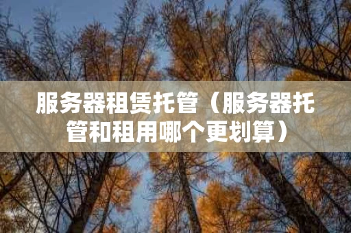 服务器租赁托管（服务器托管和租用哪个更划算）