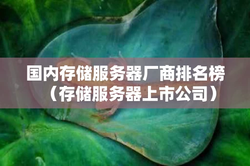 国内存储服务器厂商排名榜（存储服务器上市公司）