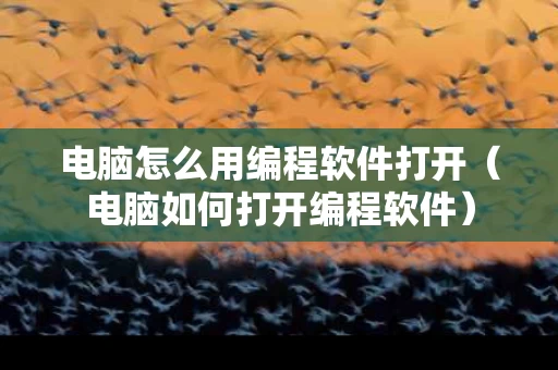 电脑怎么用编程软件打开（电脑如何打开编程软件）
